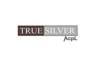truesilver logo